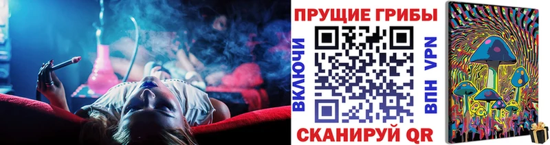 Купить где  Усмань  Псилоцибиновые грибы Psilocybe 
